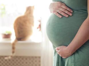 防备婴儿变形,应从怀孕期间做起