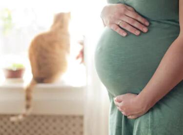 孕妈妈们关于Y-DNA检测介意的问题